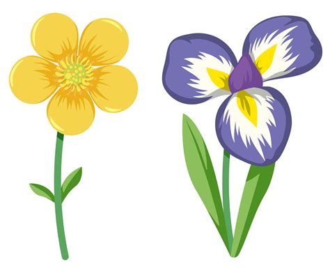 flower clip art|Flower Clip Art Vector Images .